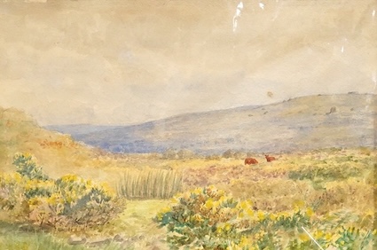 George Stanfield Walters (1838-1924), 'Heather & Gorse, Dartmoor', unsigned, watercolour, 16 x 24cm